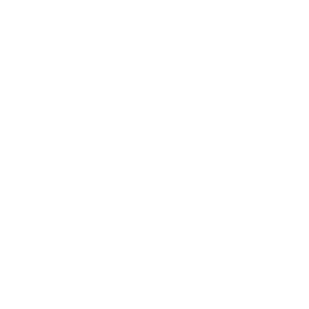 White LongLink logo with a transparent background